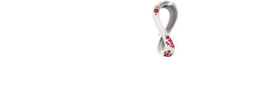 QNB Logo